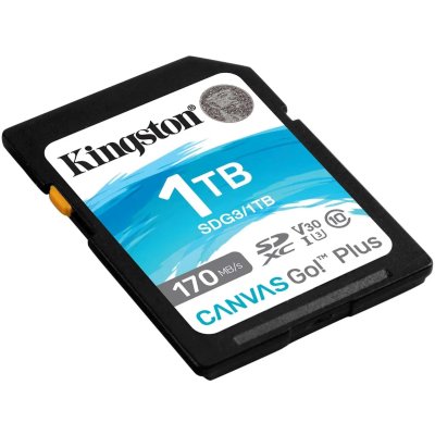 Kingston Canvas Go! Plus 1TB SDG3/1TB