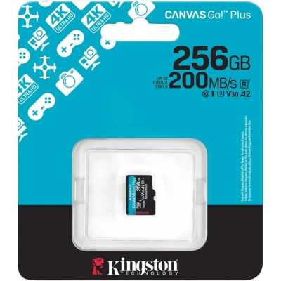 карта памяти Kingston Canvas Go! Plus 256GB SDCG4/256GBSP