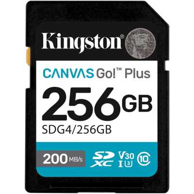 карта памяти Kingston Canvas Go! Plus 256GB SDG4/256GB