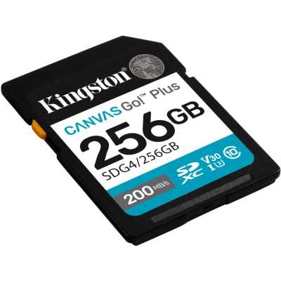 Kingston Canvas Go! Plus 256GB SDG4/256GB