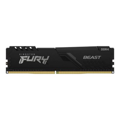Kingston Fury Beast Black 251600₽