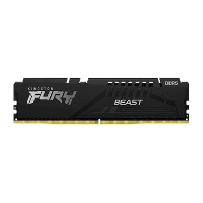 

Kingston Fury Beast