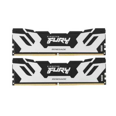 

Kingston Fury Renegade Silver/Black