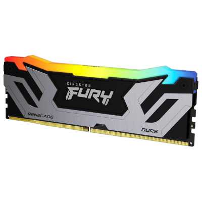 Kingston Fury Renegade Silver/Black RGB KF584CU40RSA-24