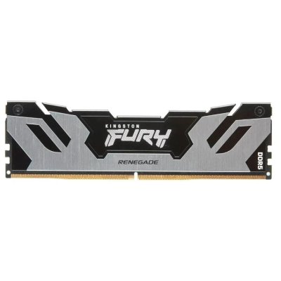 Kingston Fury Renegade Silver 1242400₽