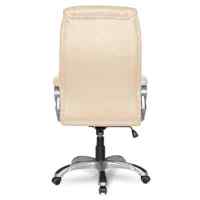 College XH-2002 Biege