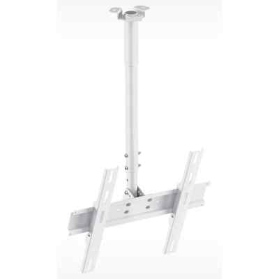 Holder