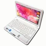 Lenovo IdeaPad S10 59024883