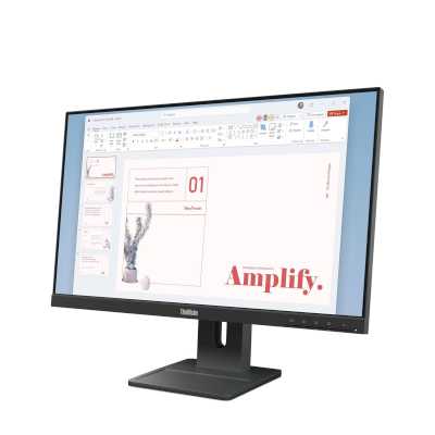 Lenovo ThinkVision E24-40 64BAMAT1UK