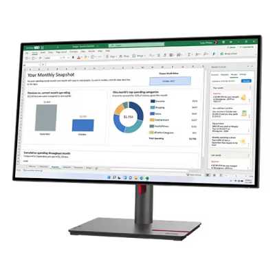 Lenovo ThinkVision P27h-30 63A1GAT1EU