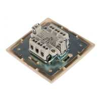 Lezard Mira 701-0303-101