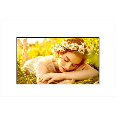 профессиональный дисплей LG 43UL5Q-M