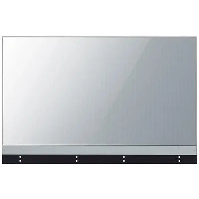 специальный дисплей LG 55EW5G-V