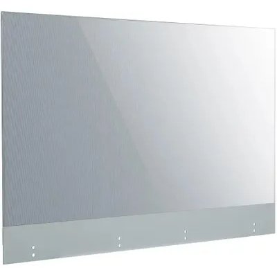 LG 55EW5G-V