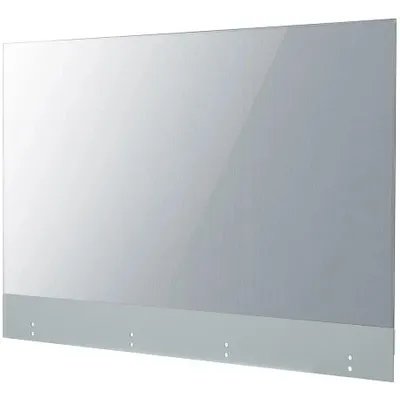 специальный дисплей LG 55EW5G-V