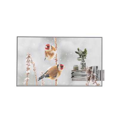 прозрачный OLED-дисплей LG 55EW5P-M
