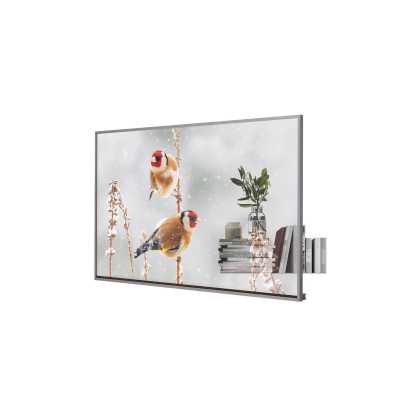 LG 55EW5P-M