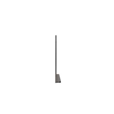 LG 55EW5P-M