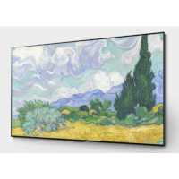 LG OLED55G1RLA
