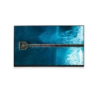 телевизор LG OLED65E9PLA