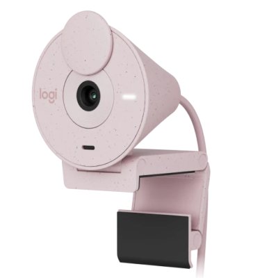веб-камера Logitech Brio 300 Rose 960-001448