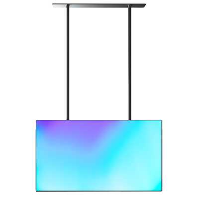 профессиональный дисплей Lumien High Brightness LWS4301FHD
