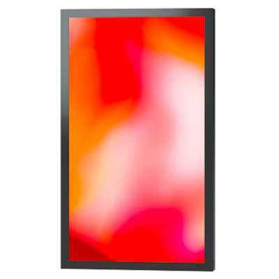 профессиональный дисплей Lumien Outdoor 02 LOS5502UHD