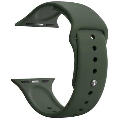 ремешок Lyambda DSJ-01-44-OL