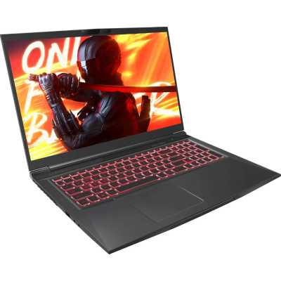ноутбук Maibenben X17A-R56035FFSLBRE0