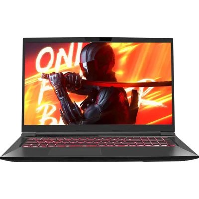 ноутбук Maibenben X725 X725FSFNLBRE0-wpro