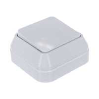 Makel Siva Ustu 45101