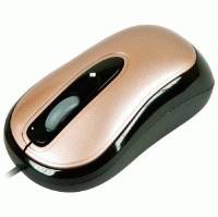 CBR CM-150 Brown
