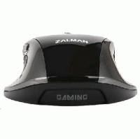 Zalman ZM-GM1