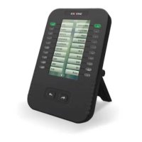 модуль расширения Escene ESM20-LCD