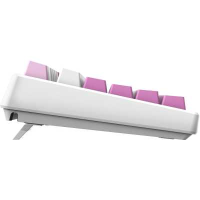 MSI Forge GK600 TKL Violet