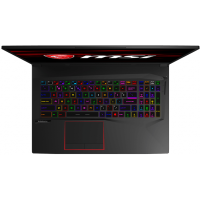MSI GE75 8SG-206