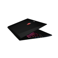 MSI GS60 2PC-289