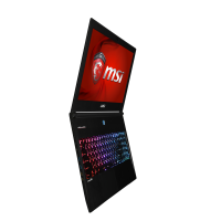 MSI GS60 2PC-289