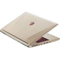 ноутбук MSI GS60 2QE-296 9S7-16H515-296
