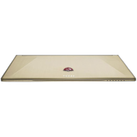 MSI GS60 2QE-296 9S7-16H515-296