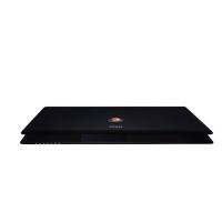 MSI GS70 2PE-461