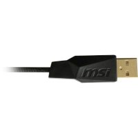 MSI Interceptor DS300