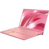 MSI Prestige 14 A10SC-256RU