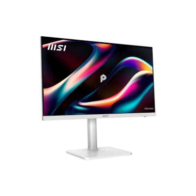 MSI Pro Max 241PHW E14