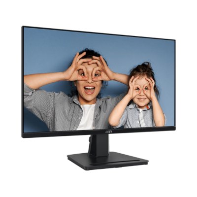 MSI Pro MP251P