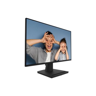 MSI Pro MP252