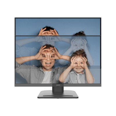 MSI Pro MP253P