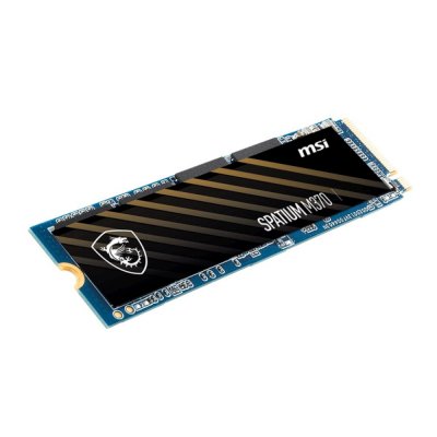 MSI SPATIUM M370 256Gb S78-4409P50-P83