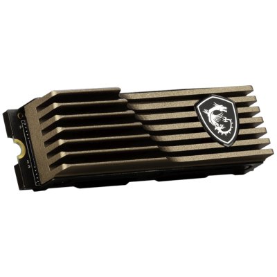 MSI SPATIUM M460 1Tb HS