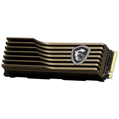 MSI SPATIUM M460 1Tb HS S78-440L840-P83